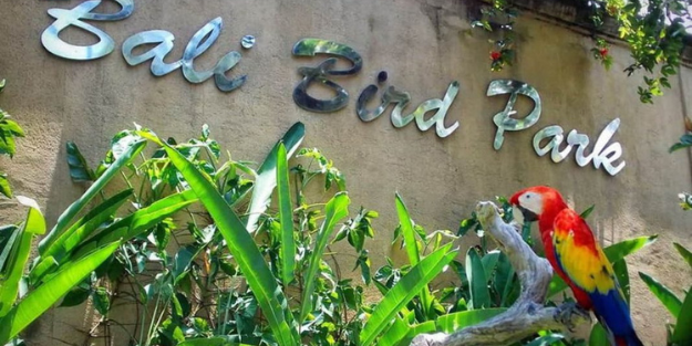 Bali Bird Park