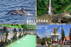 Bali Utara Tour - Jatayu Rental