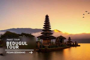Bedugul Tour - Jatayu Rental