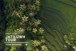 Jatiluwing Tour - Jatayu Rental