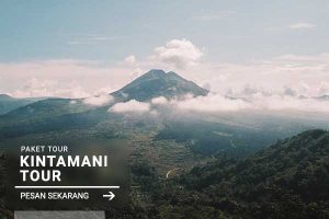 Kintamani Tour - Jatayu Rental
