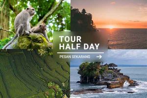 Tour Half Day - Jatayu Rental