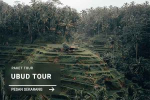 Ubud Tour - Jatayu Rental