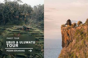 Ubud & Uluwatu Tour - Jatayu Rental