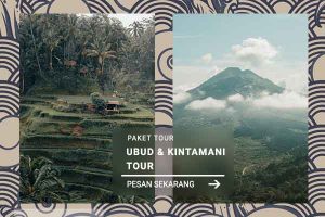 Ubud dan Kintamani Tour - Jatayu Rental