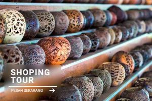 shoping tour - jatayu rental